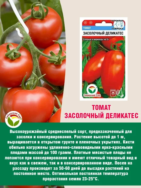 Томат Засолочный деликатес семена 