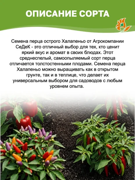 Перец острый Халапеньо семена 