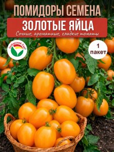 Томат Золотые Яйца