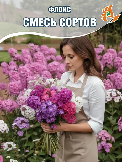 Флокс Смесь Сортов