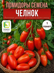 Томат Челнок Томат Челнок