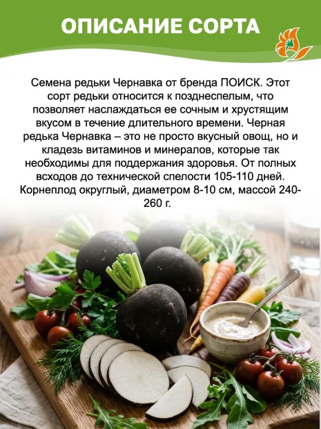 Редька Чернавка семена 