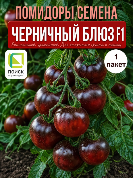 Томат Черничный Блюз F1 семена 