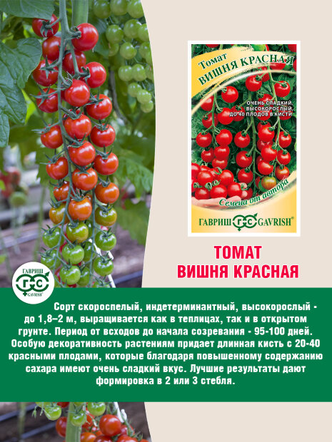 Томат Вишня красная семена 