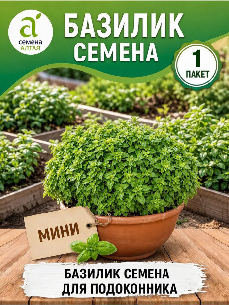 Базилик Мини семена 