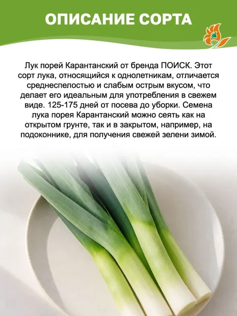 Лук порей Карантанский семена 