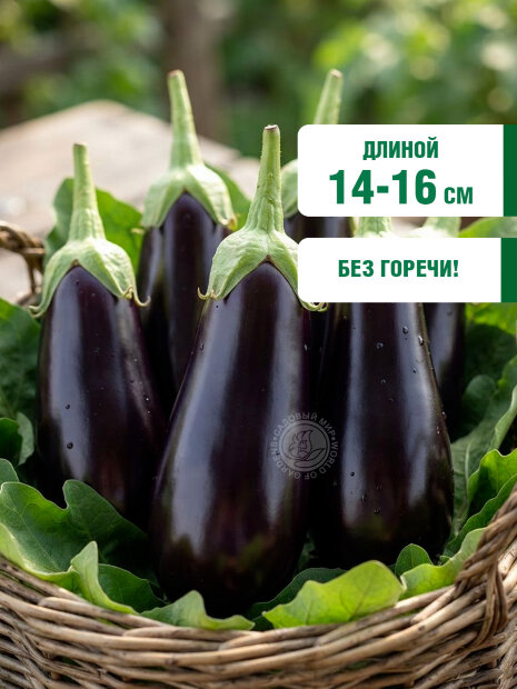 Баклажан Алмаз семена 