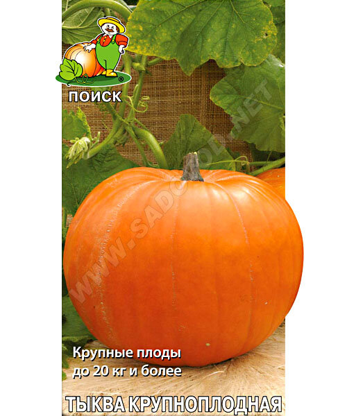 Тыква Стофунтовая (крупноплодная) семена 