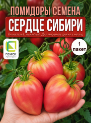 Томат Сердце Сибири Томат Сердце Сибири