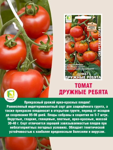 Томат Дружные ребята семена 
